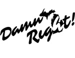 "Damn Right" Michigan Vinyl Sticker - michiganluv