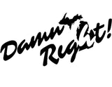 "Damn Right" Michigan Vinyl Sticker - michiganluv