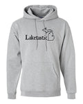 Michigan "Laketastic" Premium Hooded Sweatshirt - michiganluv